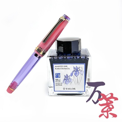 Set inchiostro penna