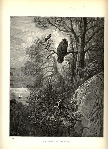 1880 stampa antica aquila e - , l'aquila