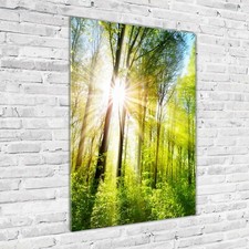 Quadro Stampa artistica su