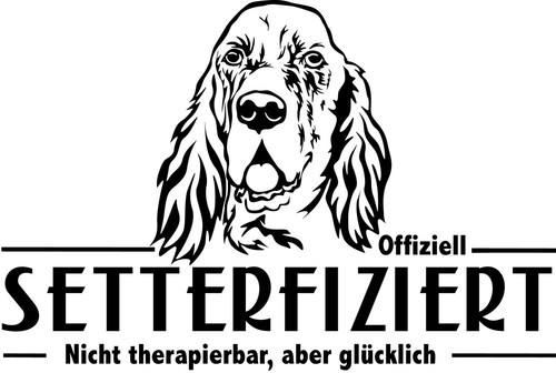 Adesivo auto english - auto, setter
