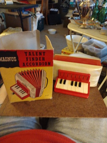 Fisarmonica magnus talent - fisarmonica,