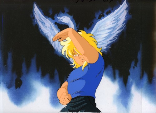 Saint seiya cygnus hyoga cel - saint,
