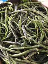 FAGIOLO NANO BOBIS D'ALBENGA - 10 SEMI + regalo