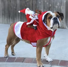 Costume cane natale - costume, babbo