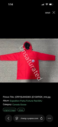 Parka canada goose expedition - parka,