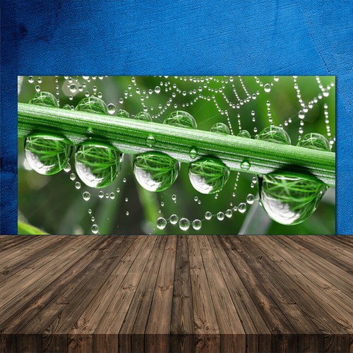 Paraschizzi cucina 120x60 - paraschizzi,
