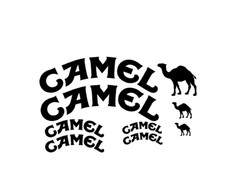 adesivi Moto  10   adesivi