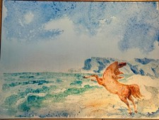 Lastra in Argento 800 –