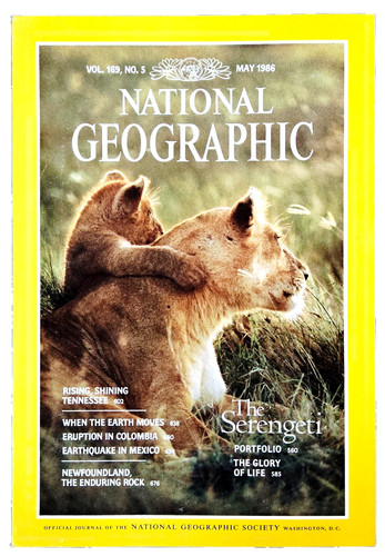 The serengeti - serengeti,,