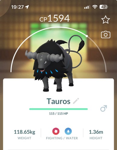 Paldean tauros razza acqua - paldean,