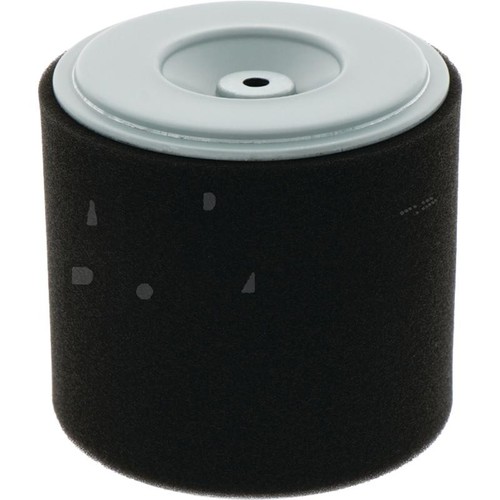 Filtro aria per - motore, honda