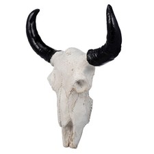  Teschio Di Mucca Medio Per
