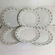 RICHARD GINORI 6 PIATTI PIANI PIATTINI CM 20 FIORI VERDI VINTAGE