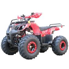 Quad Mini Quad Elettrico