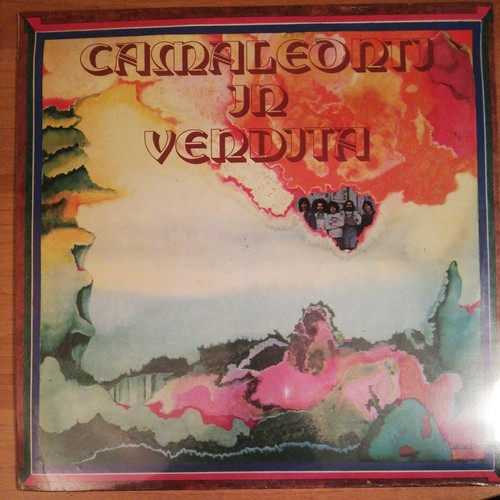 Camaleonti vendita lp - in,
