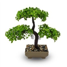 Bonsai Artificiale 24,5x25