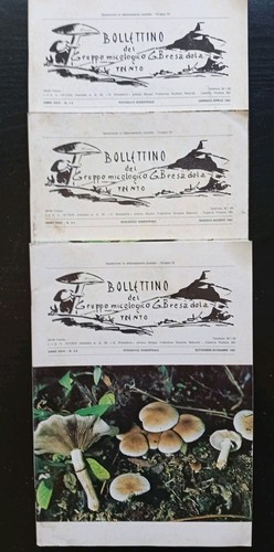 Bollettino del gruppo - bollettino,