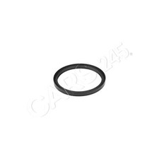 Guarnizione albero mozzo ruota