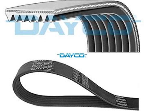 Cinghia trapezoidale dayco - cinghia,