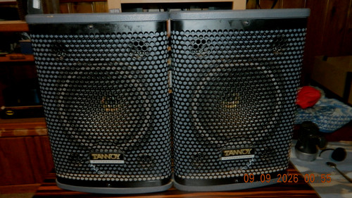 Tannoy professional passive - professional,
