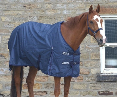 Turners navy tappeto - turners,