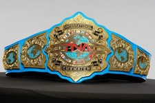 Cintura tna championship - cintura,