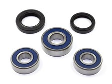 Kit cuscinetti ruota 25-1650