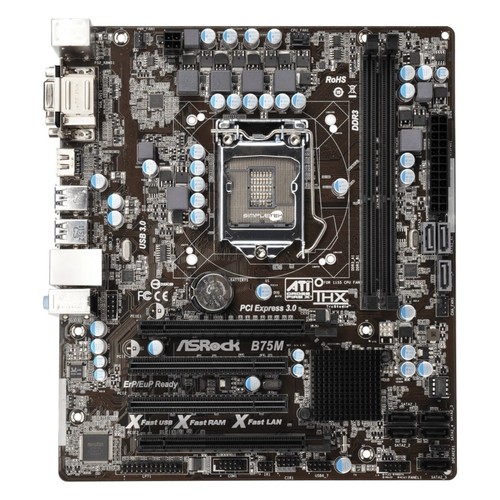 Scheda madre asrock - madre,