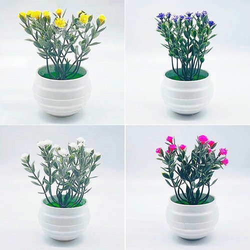 Simulazione gypsophila vaso - gypsophila, in