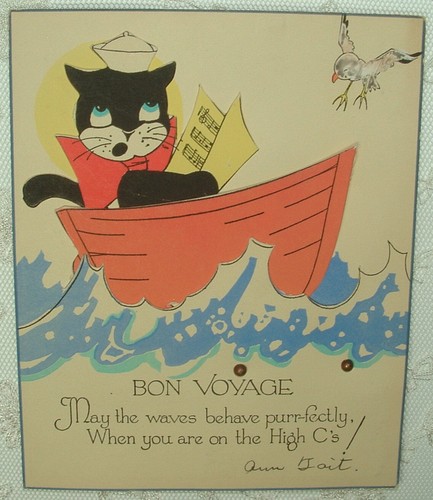 Meccanico marinaio gatto