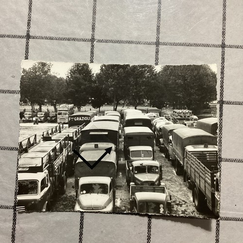 Parma,Manifestazione