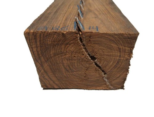 Tronco legno zebrano - legno,