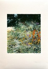 Antonio pedretti serigrafia - pedretti,
