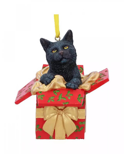 Gatto confezione regalo - in,