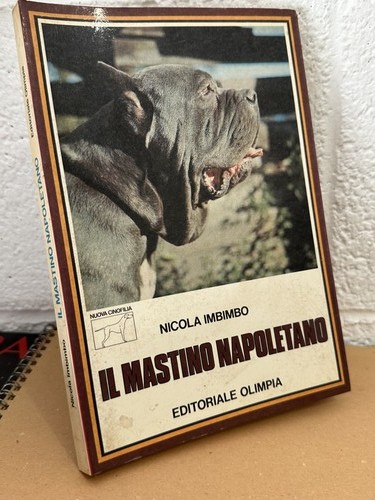 Mastino napoletano nicola - napoletano,