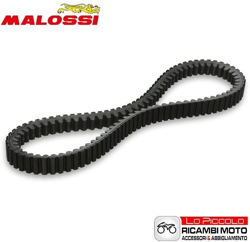 Cinghia trasmissione special - x,