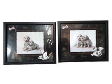 Quadro foto cani cuccioli - foto,