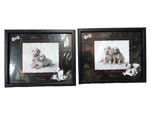 Quadro foto cani - cani, di
