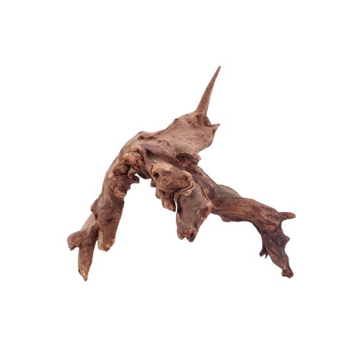 Driftwood flußwurzel radice - driftwood,