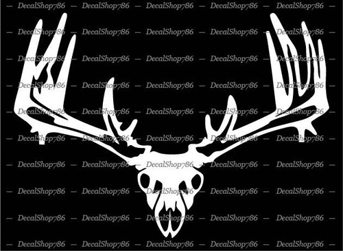Whitetail rack antler - whitetail,