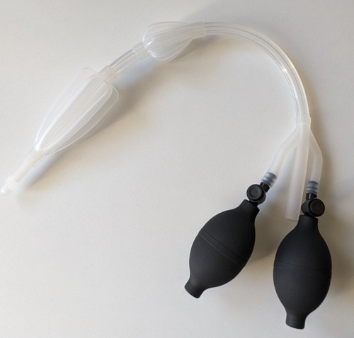 Tubo intestinale doppio