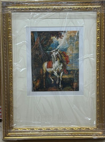 Cavallo bianco nel bosco