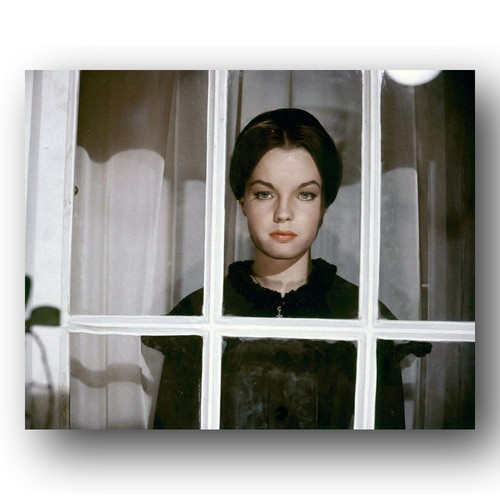Romy schneider photo 8x10 - romy,