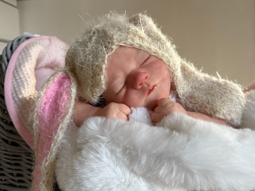 Reborn fake baby life - reborn,