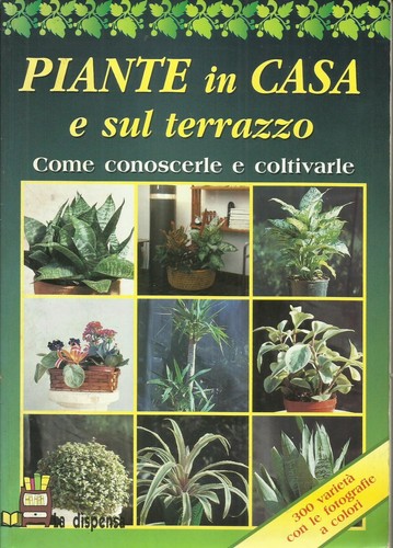 Gelio piante casa e sul - piante,