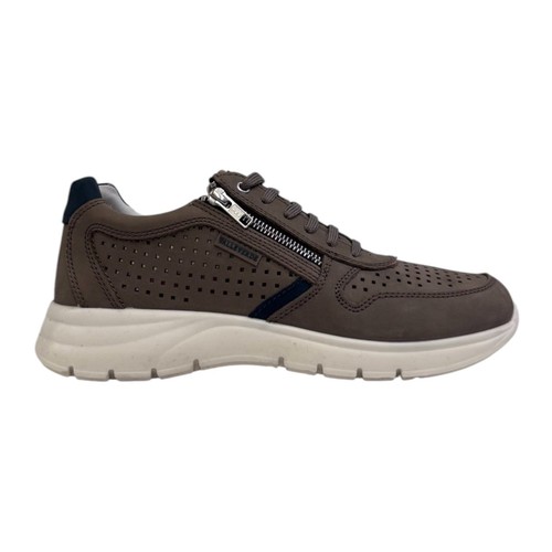 Valleverde sneakers tortora - valleverde,