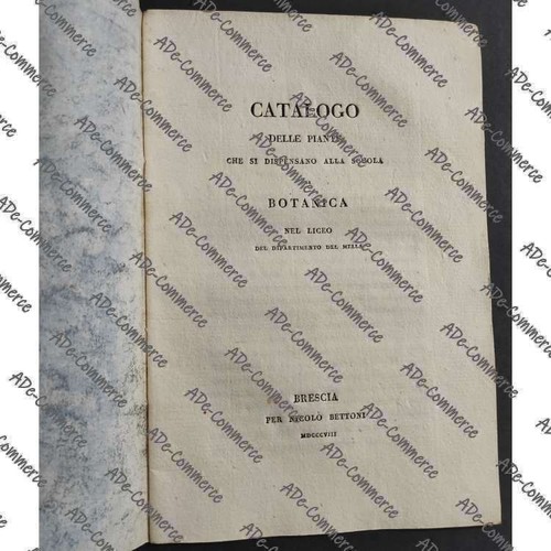 Catalogo delle piante - catalogo, si