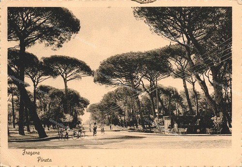 Ed472 cartolina - ed472,