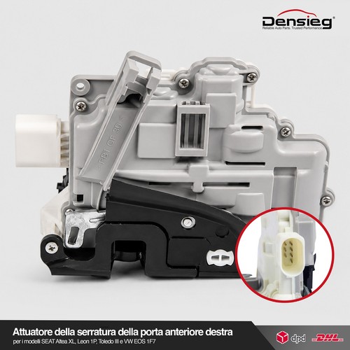 Densieg anteriore destro - anteriore,