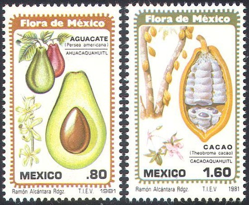 Messico 1981
